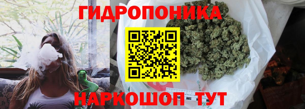 Бошки Шишки конопля Апшеронск